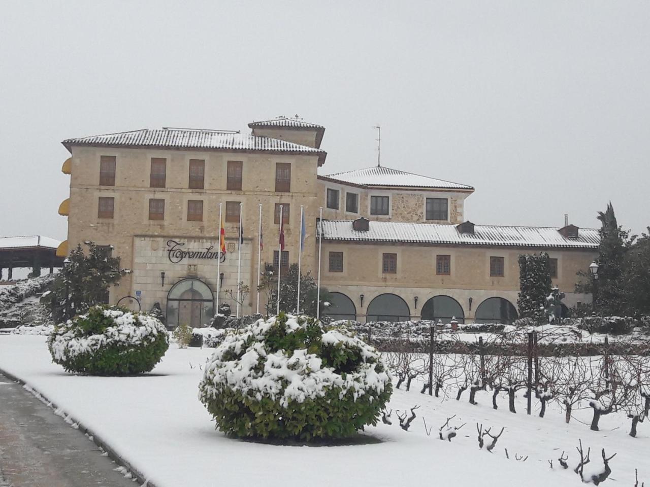 اراندا دي دويرو Hotel Torremilanos المظهر الخارجي الصورة