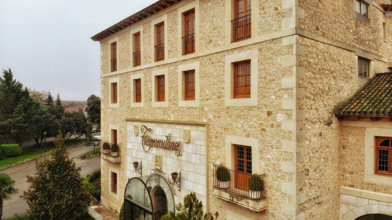 Hotel Torremilanos اراندا دي دويرو المظهر الخارجي الصورة